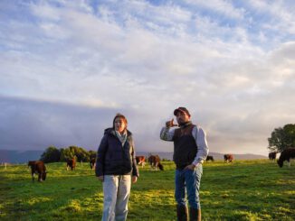 Subdirectora nacional de INDAP visitando emprendimientos agrícolas de jóvenes en Ancud