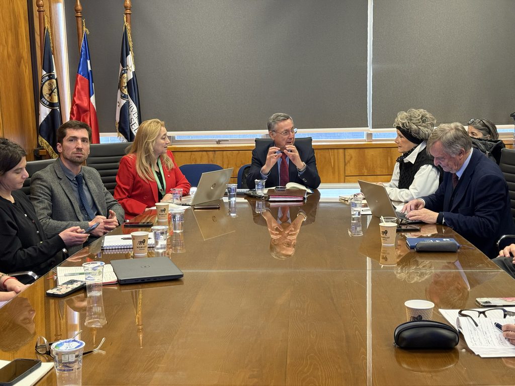 Reunión entre representantes de universidades y la Seremi de Ciencia en Puerto Montt para discutir la agenda 2026-2030