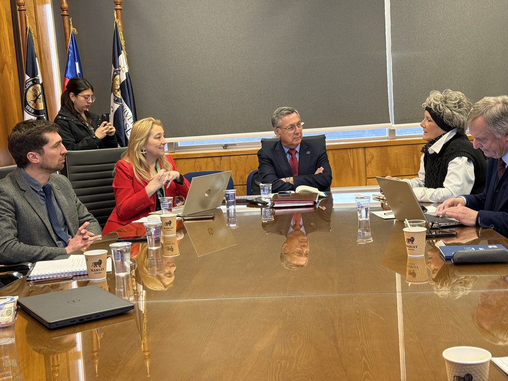 Reunión entre representantes de universidades y la Seremi de Ciencia en Puerto Montt para discutir la agenda 2026-2030
