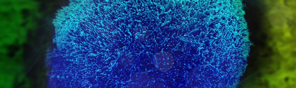 Exposición itinerante Imágenes del Nanomundo mostrando fotografías científicas a estudiantes en una escuela rural