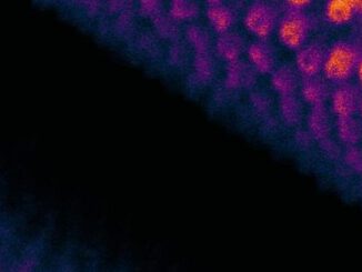 Exposición itinerante Imágenes del Nanomundo mostrando fotografías científicas a estudiantes en una escuela rural