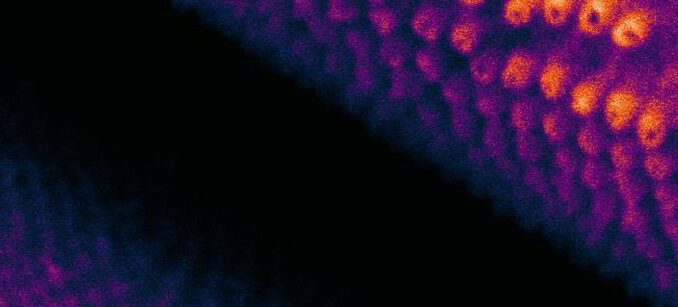 Exposición itinerante Imágenes del Nanomundo mostrando fotografías científicas a estudiantes en una escuela rural