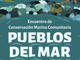 Representantes de cinco pueblos originarios de Chile debaten sobre conservación marina en la Universidad de Los Lagos