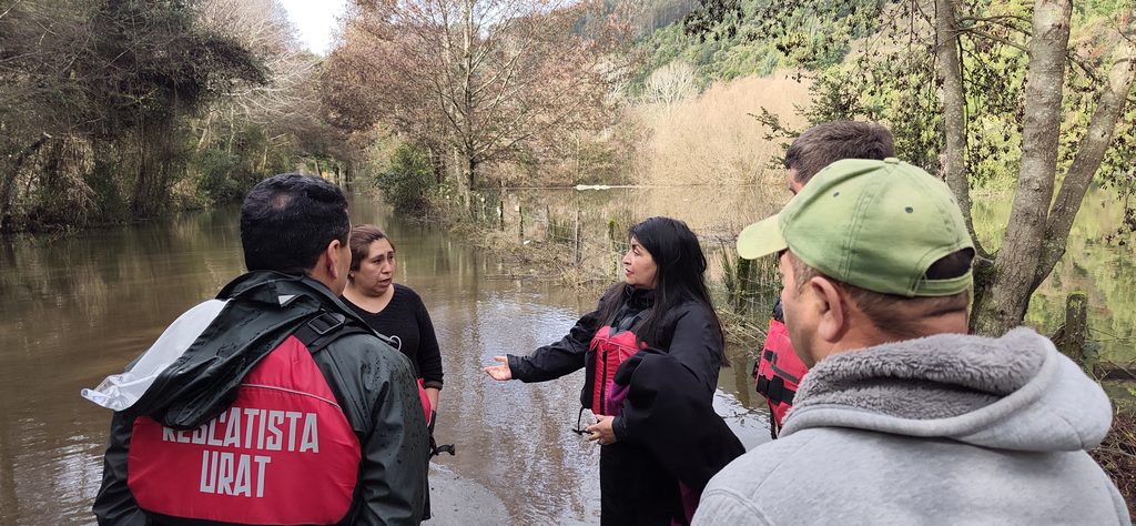 Campesinos revisando cultivos afectados tras el desborde de ríos en la zona de Osorno