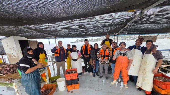 Pescadores y recolectores de Quellón visitando caletas de la zona central de Chile en gira tecnológica.