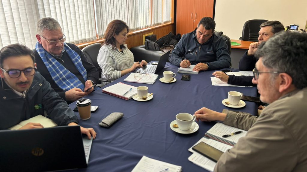 Seremi de Agricultura de Los Lagos lidera comité para gestionar ayuda ante daños climáticos en el agro
