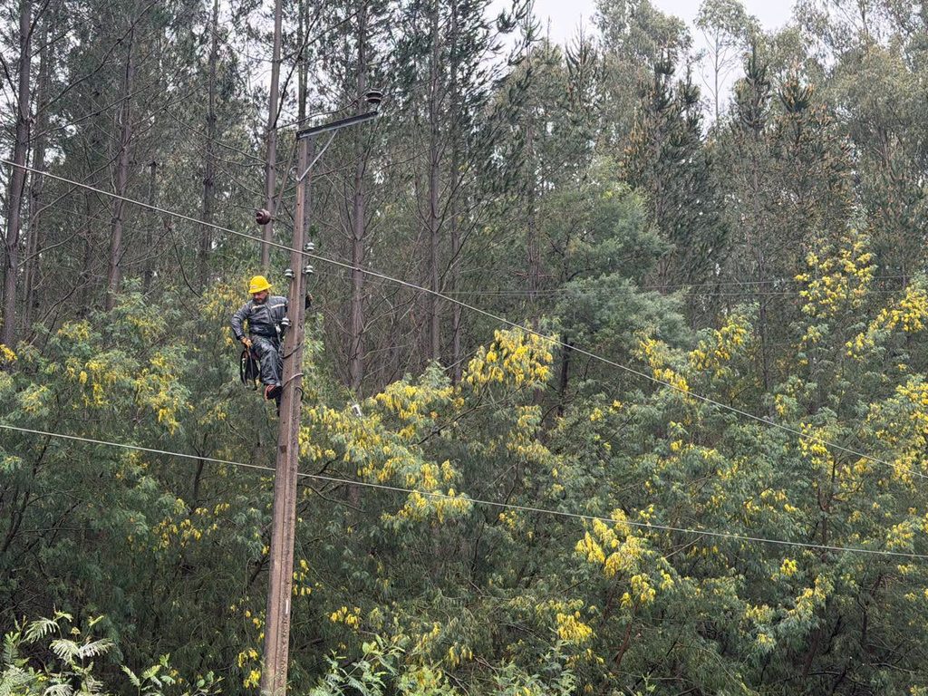 Equipos técnicos de Saesa trabajando en la reparación de tendido eléctrico tras el temporal en el sur de Chile