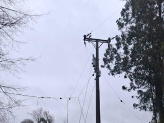 Equipos técnicos de Saesa trabajando en la reparación de tendido eléctrico tras el temporal en el sur de Chile