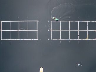 Planta de procesos de Ventisqueros enfocada en la gestión sostenible y economía circular de residuos