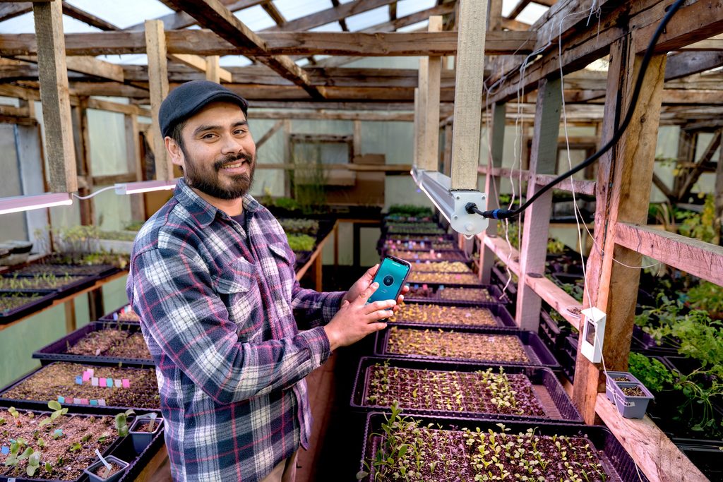 Matías Barraza supervisando el sistema de riego automatizado en su invernadero de Agrícola Suralef