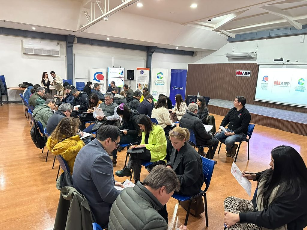 Empresarios reunidos en Osorno durante jornada de networking y herramientas de gestión