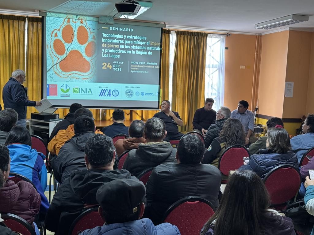 Seminario en Puerto Montt sobre tecnologías para mitigar el impacto de perros en la ganadería ovina de Los Lagos