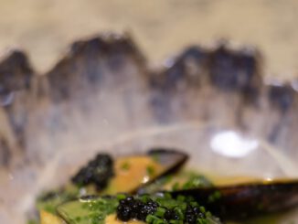 Presentación de salmón y mejillones chilenos durante el Encuentro Gastronómico Austral en Ciudad de México