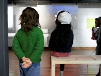 Puerto Varas acoge el festival FAVsur dedicado al arte y la ecologia bajo el lema Habitantes del Agua