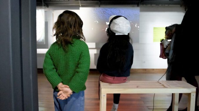 Puerto Varas acoge el festival FAVsur dedicado al arte y la ecologia bajo el lema Habitantes del Agua