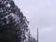 Personal técnico de Saesa monitoreando red eléctrica ante pronóstico de sistema frontal