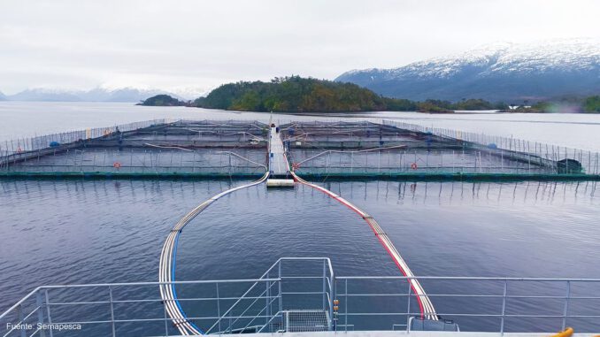 Infografía o imagen de centros de engorda de salmones bajo supervisión ambiental de la SMA en el sur de Chile