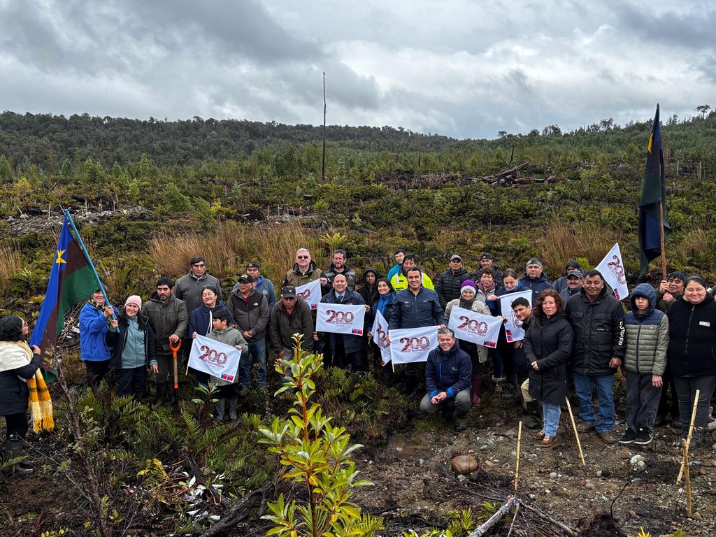 Integrantes de la comunidad Coihuín de Compu y autoridades celebran la restauración de bosque nativo en Los Lagos.