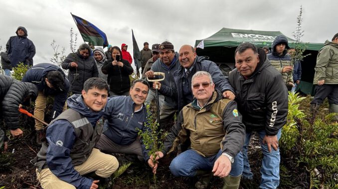 Integrantes de la comunidad Coihuín de Compu y autoridades celebran la restauración de bosque nativo en Los Lagos.
