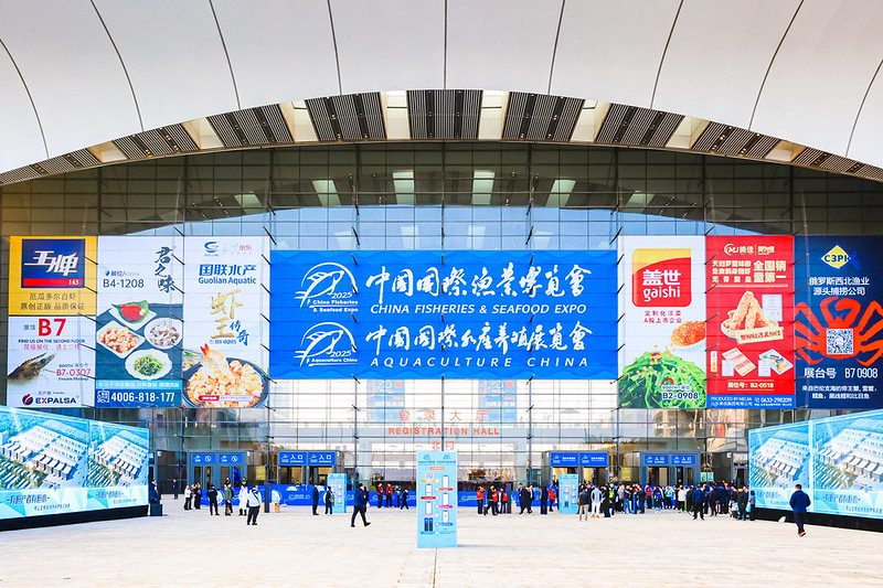 Empresas de la Región de Los Lagos participarán en la feria China Fisheries & Seafood Expo 2026 con el apoyo de ProChile.