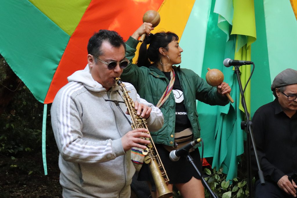 Familias disfrutando de un concierto al aire libre en un bosque de arrayanes durante el festival Chercán