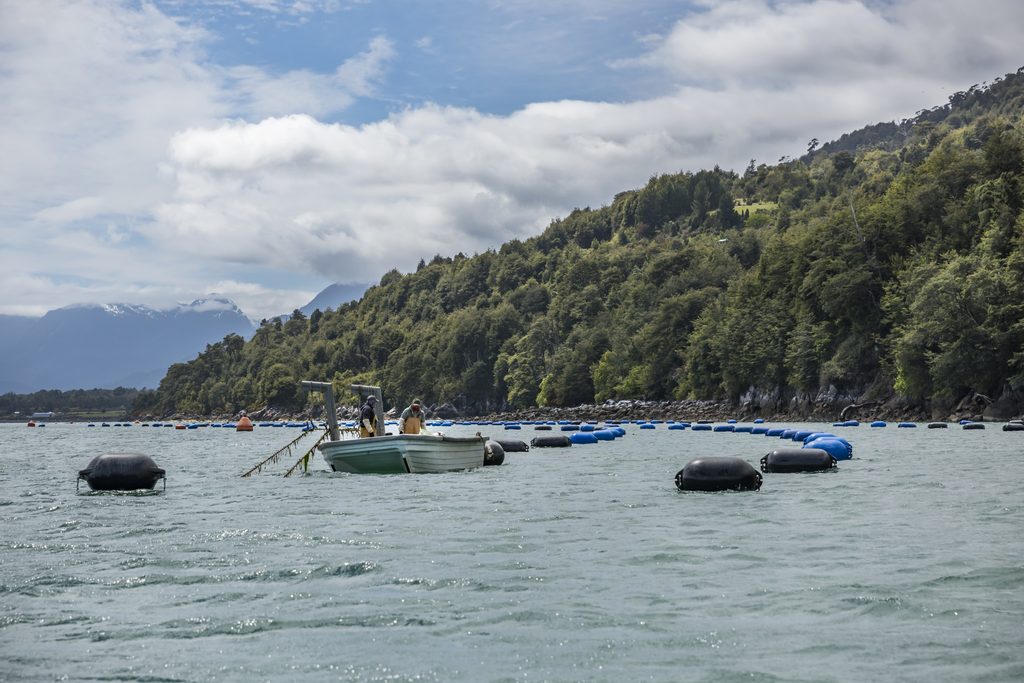 Contenedores y barcos de carga representando las exportaciones de la Región de Los Lagos