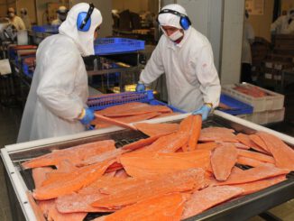 Contenedores y barcos de carga representando las exportaciones de la Región de Los Lagos