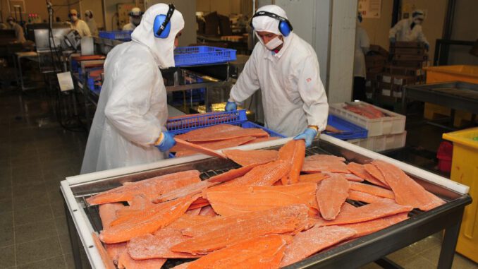 Contenedores y barcos de carga representando las exportaciones de la Región de Los Lagos