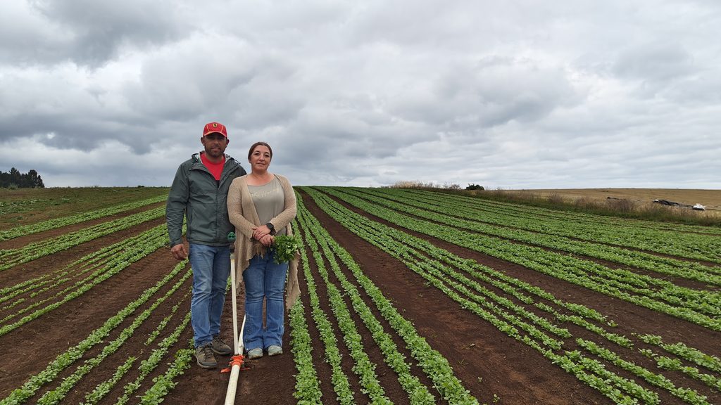 Pequeño agricultor en un campo recibiendo apoyo financiero y asesoría de INDAP