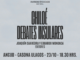 Presentación del libro Chiloé Debates Insulares en la Universidad de Los Lagos en Ancud