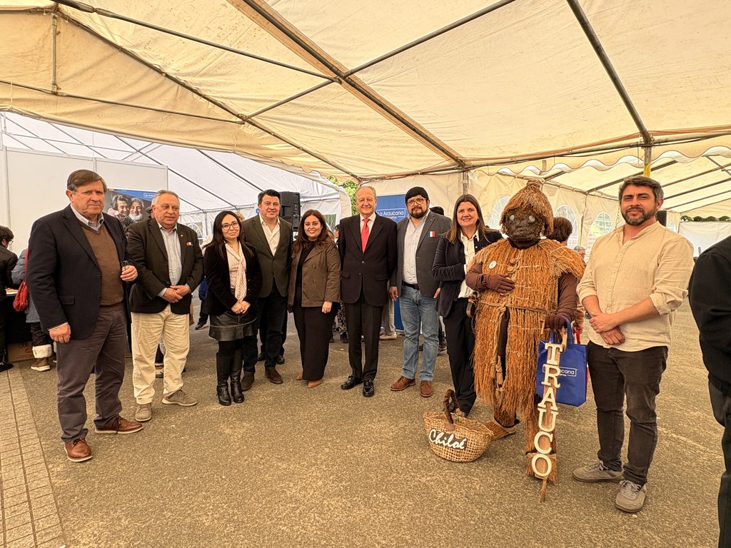 Asistentes en la Plaza del Bienestar de Caja La Araucana en Chiloé accediendo a servicios gratuitos