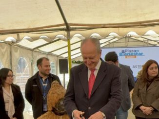 Asistentes en la Plaza del Bienestar de Caja La Araucana en Chiloé accediendo a servicios gratuitos