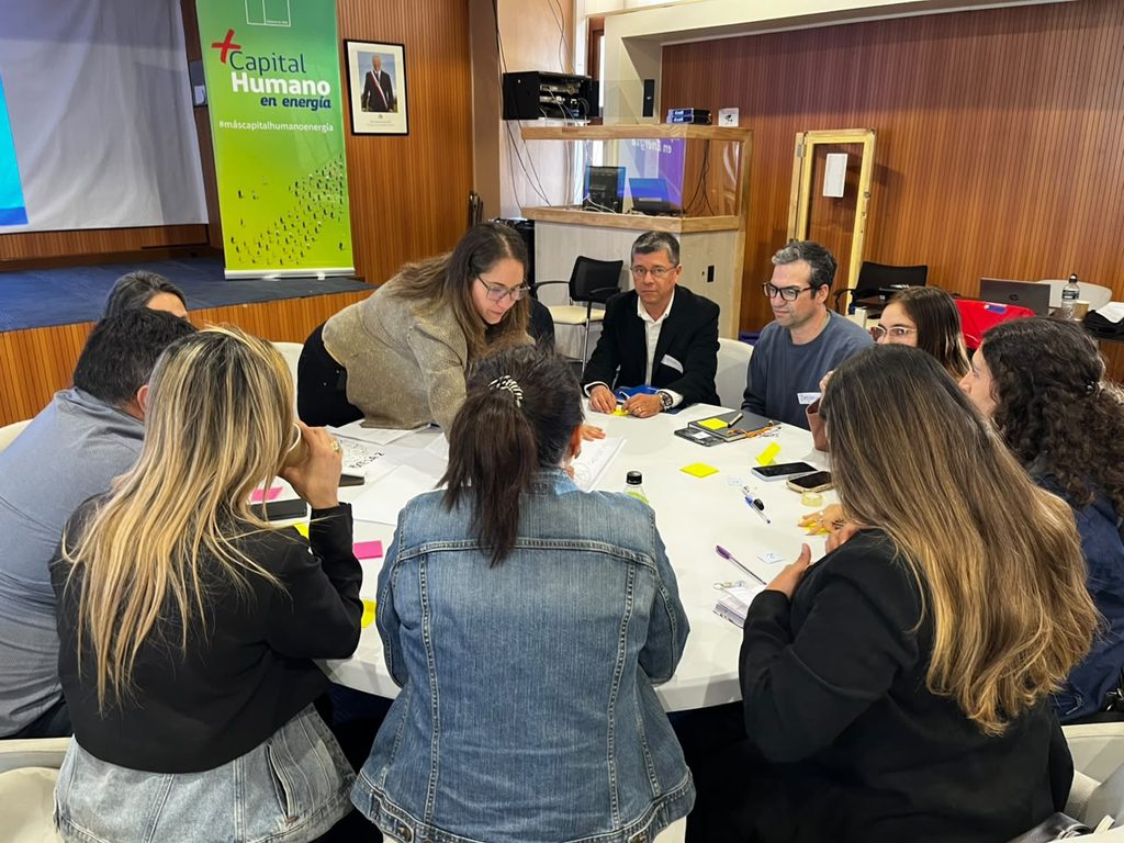 Reunión de la Mesa Regional de Capital Humano en Energía en la región de Los Lagos con autoridades y representantes.
