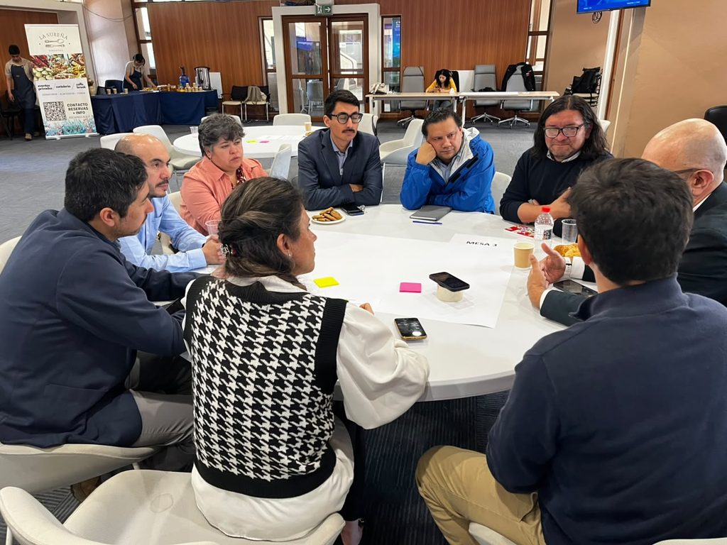 Reunión de la Mesa Regional de Capital Humano en Energía en la región de Los Lagos con autoridades y representantes.